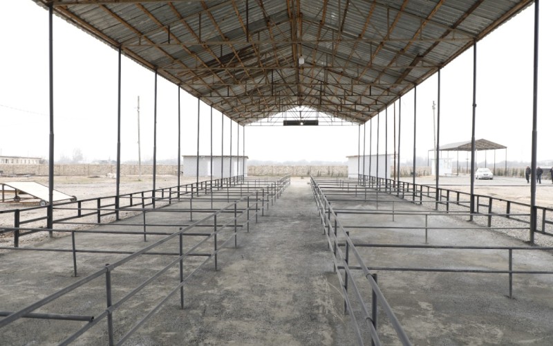 Bu heyvan bazarları da açılışa hazırdır - VİDEO