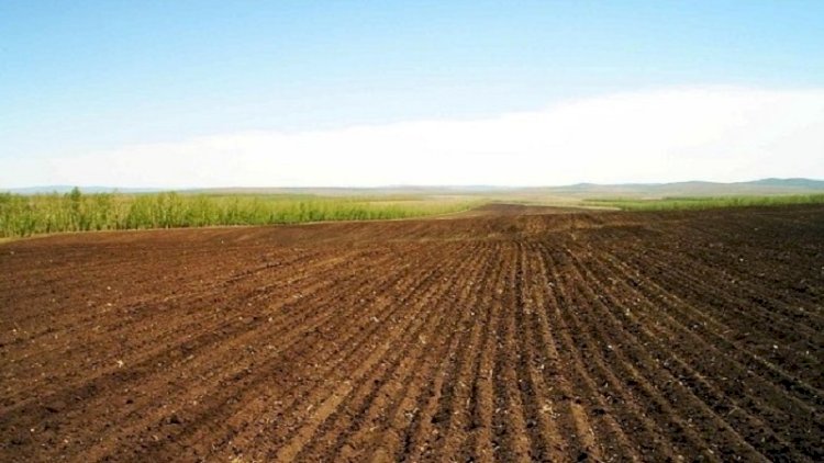 İcra başçısının müavininə məxsus torpaq sahəsi satışa çıxarıldı