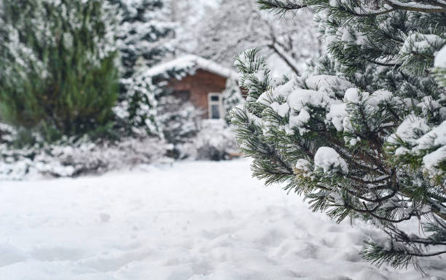 Bu ərazilərə qar yağır - FAKTİKİ HAVA