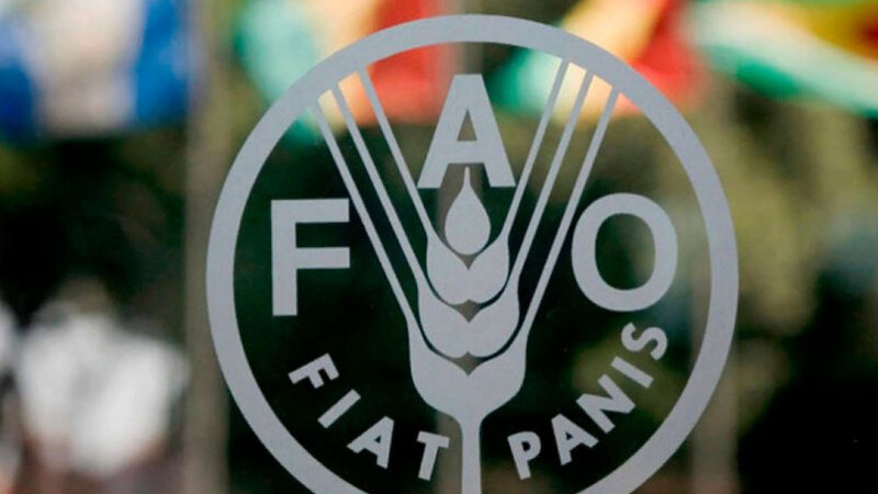 Türkmənistanda BMT-nin konfransı keçiriləcək