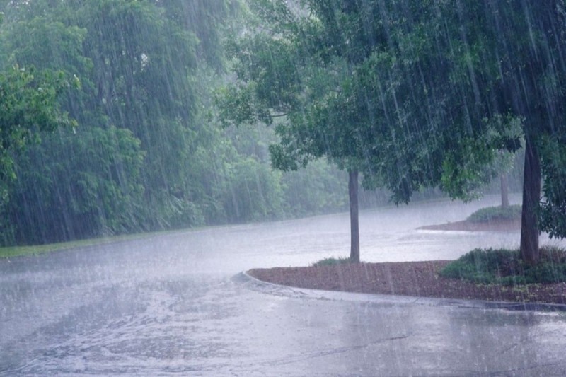 Yağıntılar intensiv xarakter alıb - FAKTİKİ HAVA