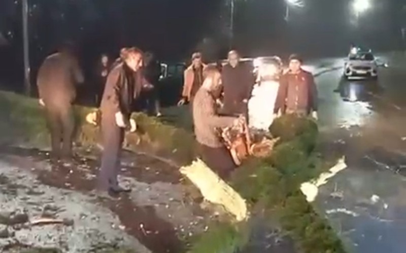 Külək ağacı aşırdı, Lənkəran-Lerik yolunu bağlandı - VİDEO