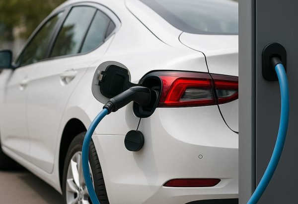 Azərbaycan və Vyetnam elektromobillərin birgə istehsalını nəzərdən keçirir