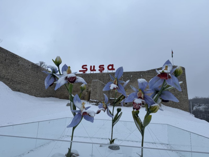 Şuşa bu günün mənzərəsi - FOTOLAR