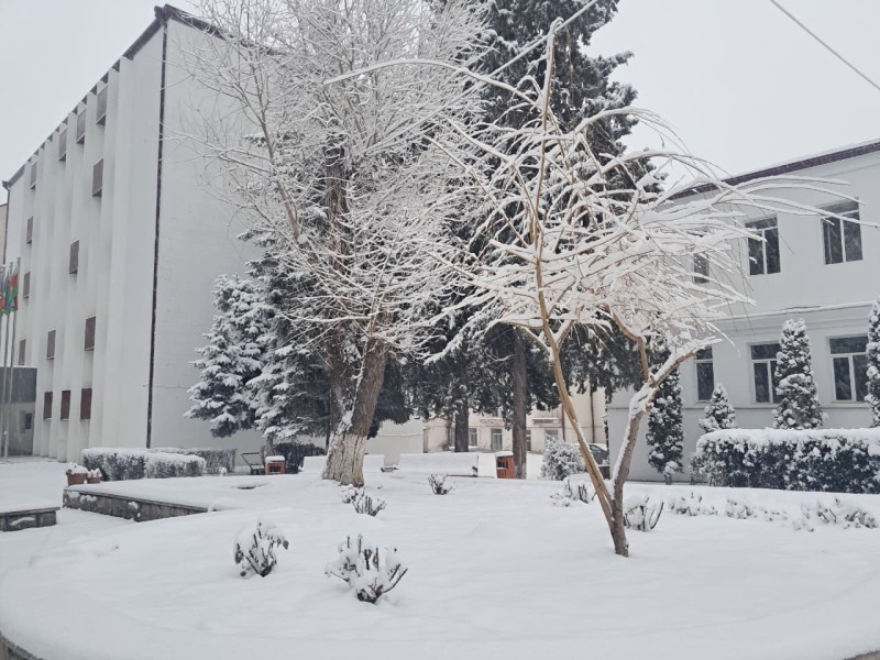 Xankəndi ağ örpəyə büründü - FOTOLAR