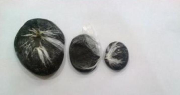 7 kiloqramdan artıq narkotik vasitə aşkarlandı