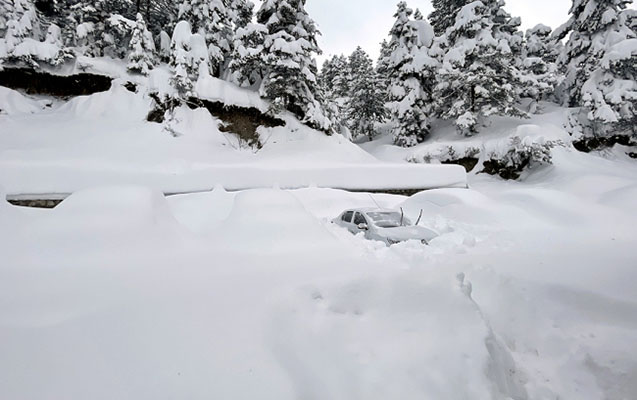 Lerikdə qarın hündürlüyü 85 sm-ə çatdı - FAKTİKİ HAVA
