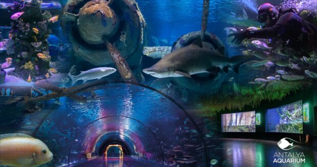 Antalyanın tematik parkları bu qış və yazda da qonaqlarını gözləyir - FOTOLAR
