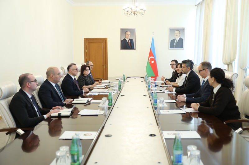 SN-də beynəlxalq əczaçılıq şirkətinin nümayəndə heyəti ilə görüş keçirildi - FOTOLAR