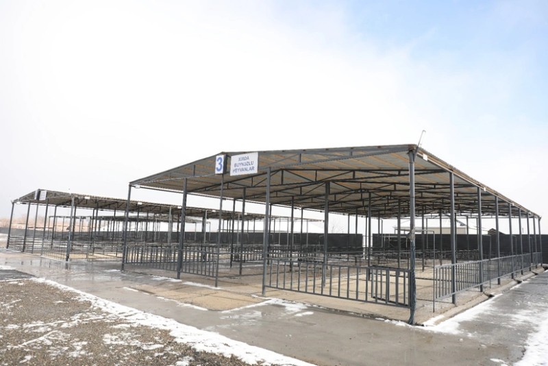 Ağcabədi heyvan bazarının da fəaliyyətinə icazə verildi - FOTOLAR