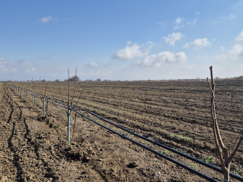 Mərkəzi Bankın əmlakları satışa çıxarılacaq - SİYAHI
