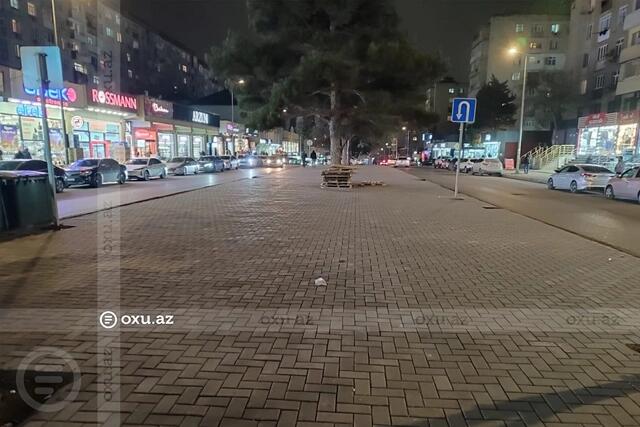 Əhmədlidə ağaclar kəsildi, yerinə daşlar döşəndi