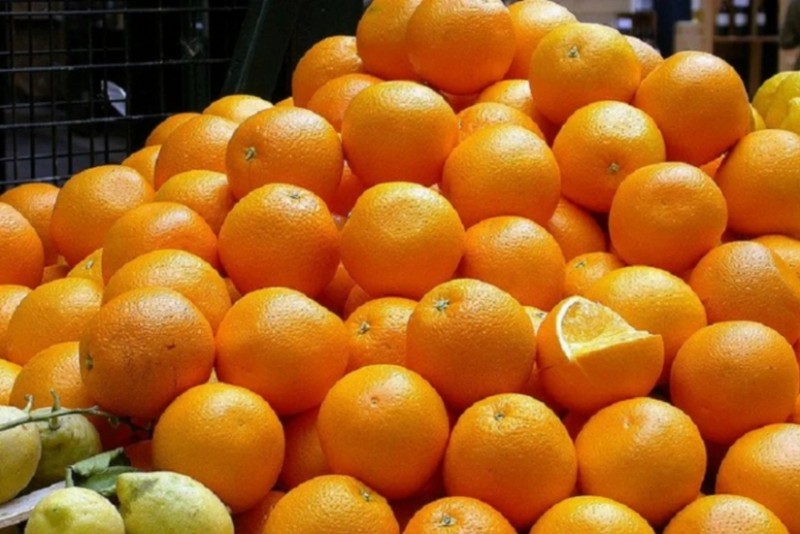 Portağalların süni şəkildə rənglənməsi məsələsinə aydınlıq gətirildi