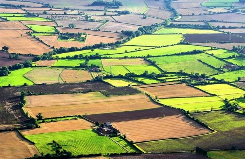 Gəncə və Şəmkirdə torpaq sahələrinin kateqoriyası dəyişdirildi