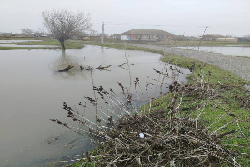 Masallıda əkin sahələrini su basıb - FOTO