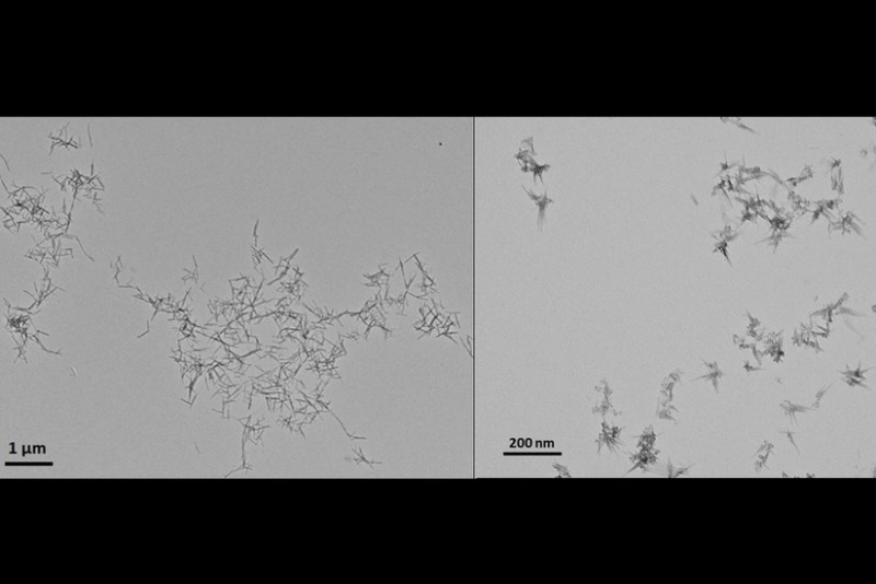 Xərçəng hüceyrələrini məhv edən nanomaterial hazırlandı