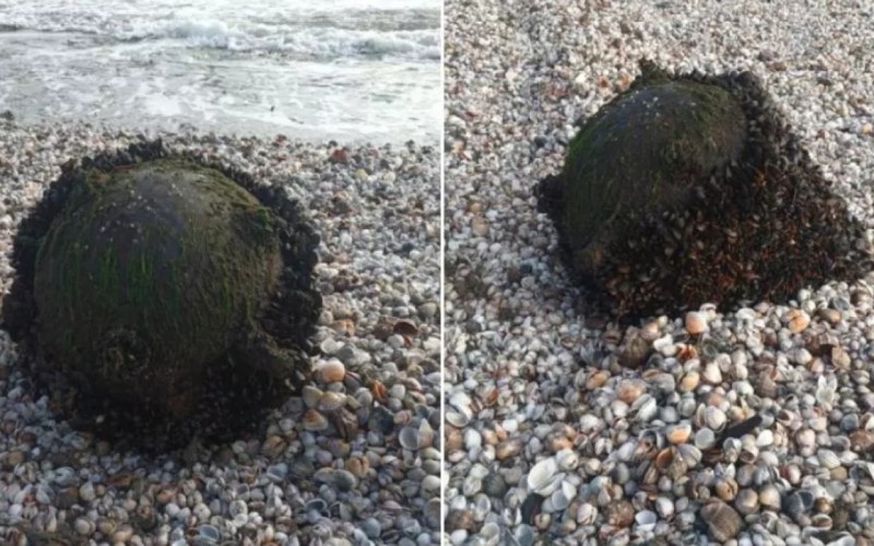 Rumıniyada dəniz minası aşkarlanıb