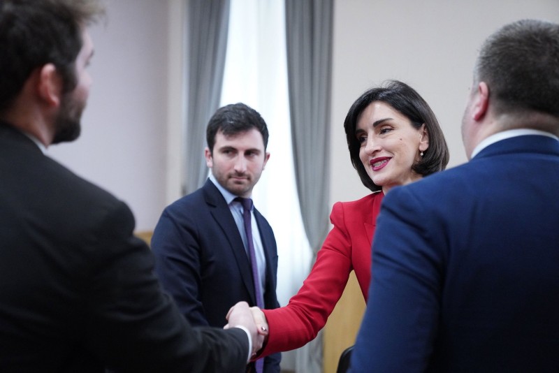 Gürcüstan XİN rəhbəri ABŞ Konqresinin nümayəndələrini qəbul edib - FOTO