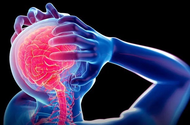 Beyin ölümü: Bütün meyitlərdən orqan köçürmək mümkündürmü?