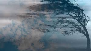 Bakıda küləyin sürəti 28 m/s təşkil edir - FAKTİKİ HAVA