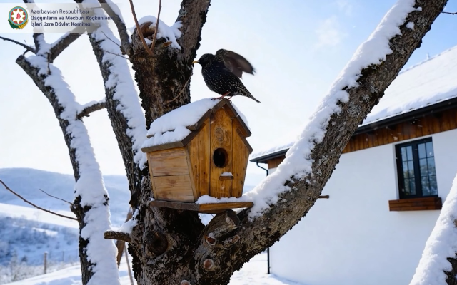 Laçından möcüzəvi qış görüntüləri - VİDEO