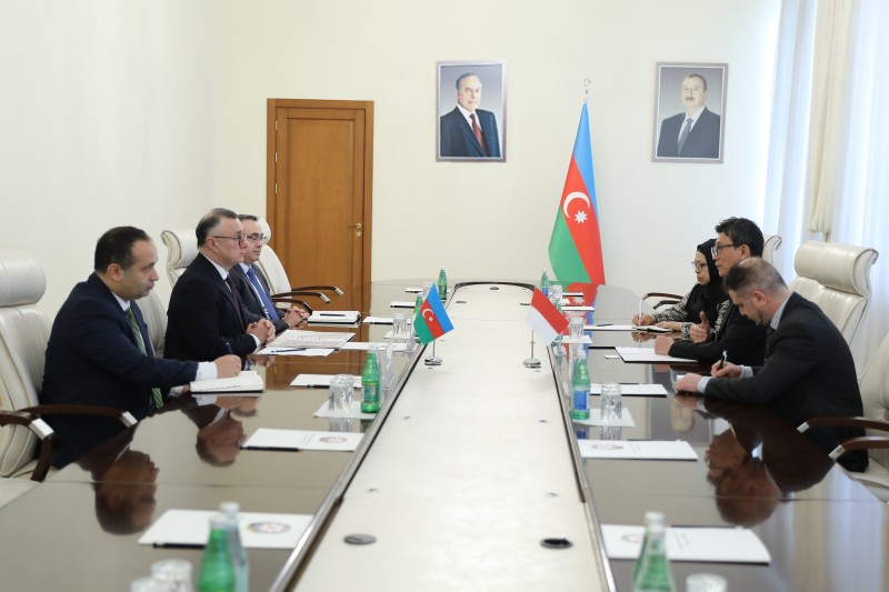 İndoneziya ilə səhiyyə sahəsində əməkdaşlıq müzakirə olundu - FOTO