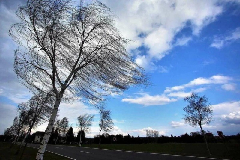 FHN də hava ilə bağlı xəbərdarlıq etdi 