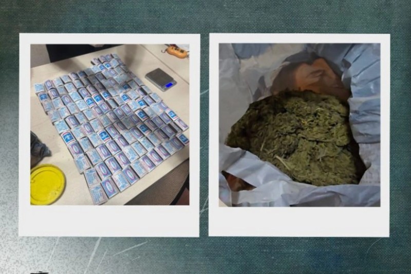 Narkotiki satış məqsədilə meşədə gizlətdi - Saxlanıldı