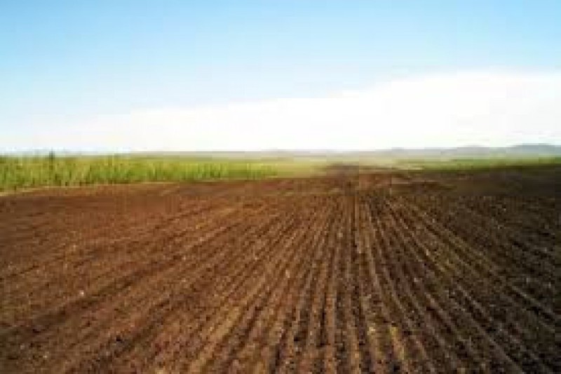 Ağalıda torpaqların sonuncu müraciət qəbuluna başlanıldı