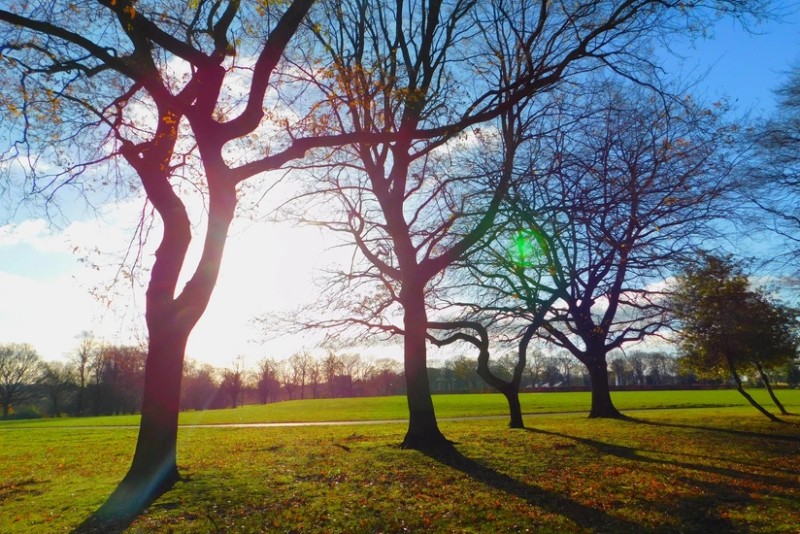 Sabah 18 dərəcə isti olacaq - PROQNOZ