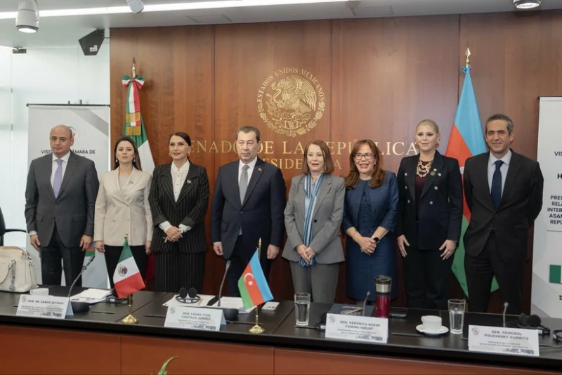 Deputatlar Meksika Senatının sədri ilə görüşdü