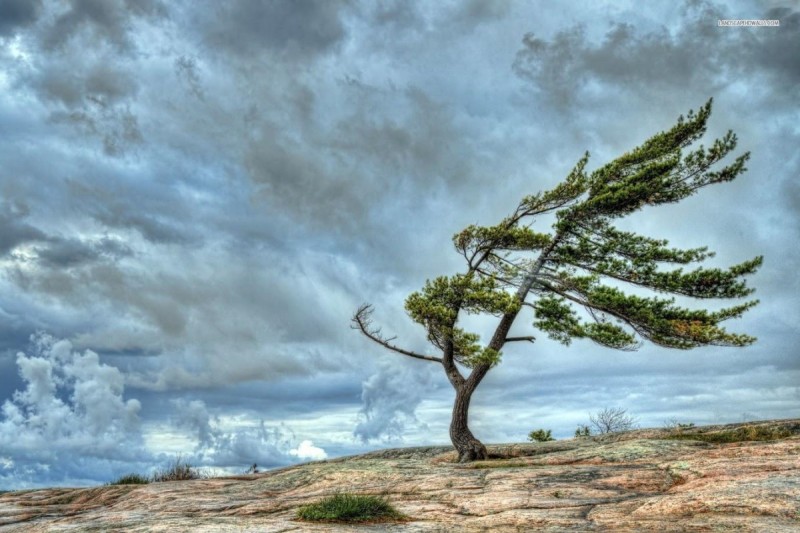 Şənbə və bazar külək güclənəcək - XƏBƏRDARLIQ