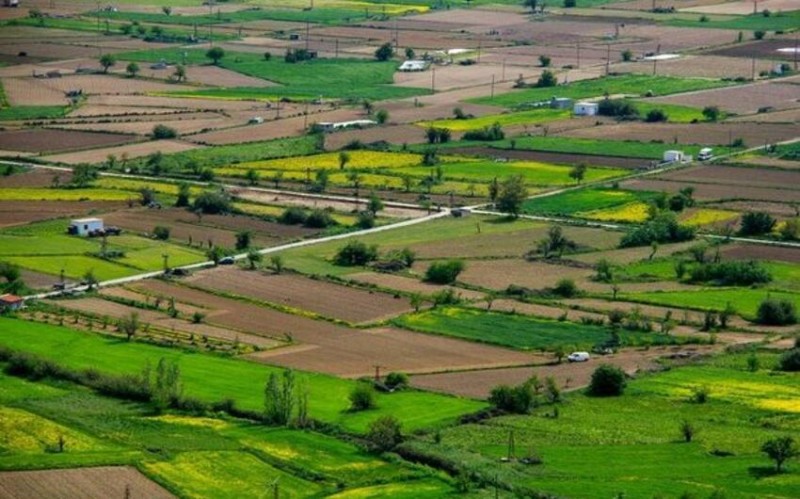 Ötən il 7 min hektara yaxın torpaq müsabiqəyə çıxarılıb