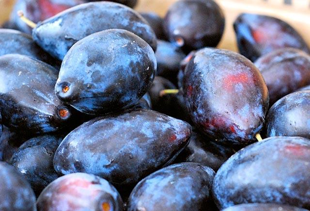 Xərçəngin dərmanı bu meyvə imiş - Alimlərdən ŞOK