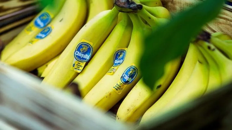 Mütəxəssislərdən xəbərdarlıq: Bu bananları qətiyyən almayın