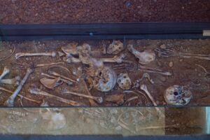 cf%C3%A7kksfjpg 1771311257