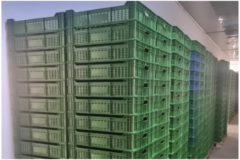 Masallı Sənaye Məhəlləsində plastik taralar istehsal ediləcək