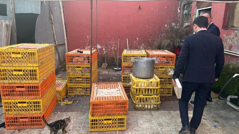 Qanunsuz fəaliyyətdə olan toyuq sexi aşkarlandı - FOTOLAR