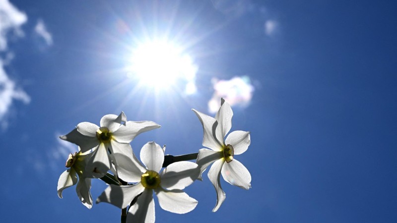 Azərbaycana yaz fəsli bu tarixdə daxil olacaq