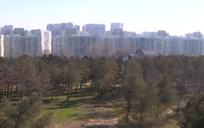 Yasamaldakı meşəlikdə bina tikiləcək? - VİDEO