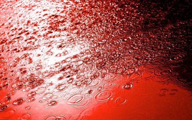 Londona qanlı yağış yağacaq - VİDEO