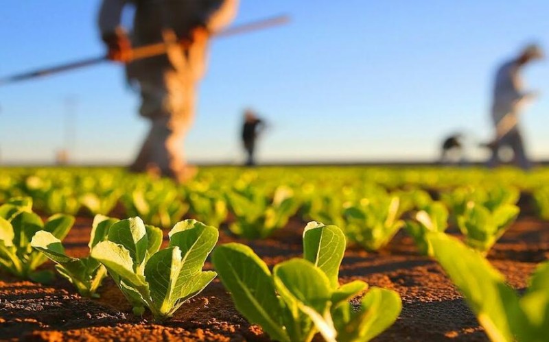 İş saatlarının ən yüksək olduğu sahələr 