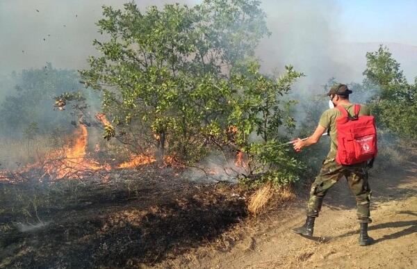 İmişlidə güclü yanğın: Kürdəmirə doğru yayılır