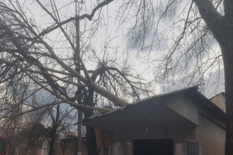 Gəncədə güclü külək fəsadlar törədib - FOTO