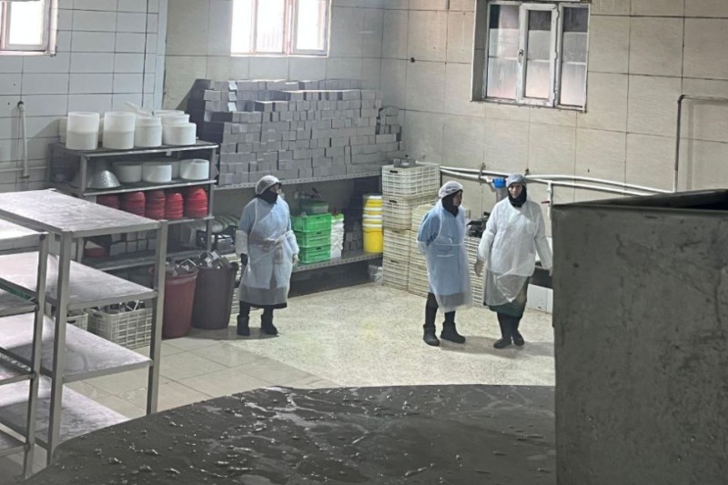 Süd məhsullarının emalı müəssisəsində nöqsanlar aşkarlandı