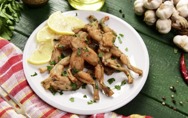 Azərbaycan 1 ildə 23 ton qurbağa əti satıb