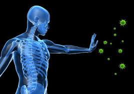 İmmun sistemi barədə 5 ən böyük mif və real tibbi həqiqətlər