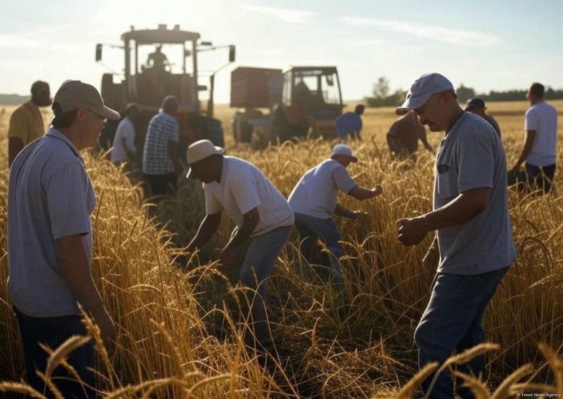 Bu şəxslərə ödənilən məbləğin yuxarı həddi artırılıb