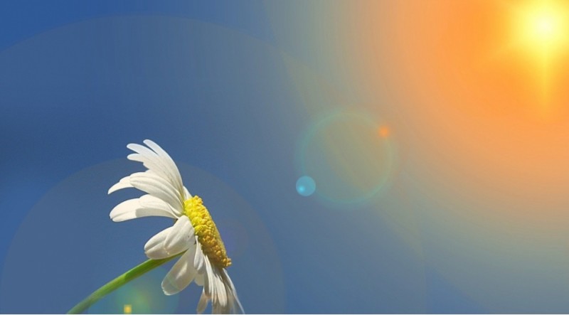 17 dərəcə isti olacaq - PROQNOZ