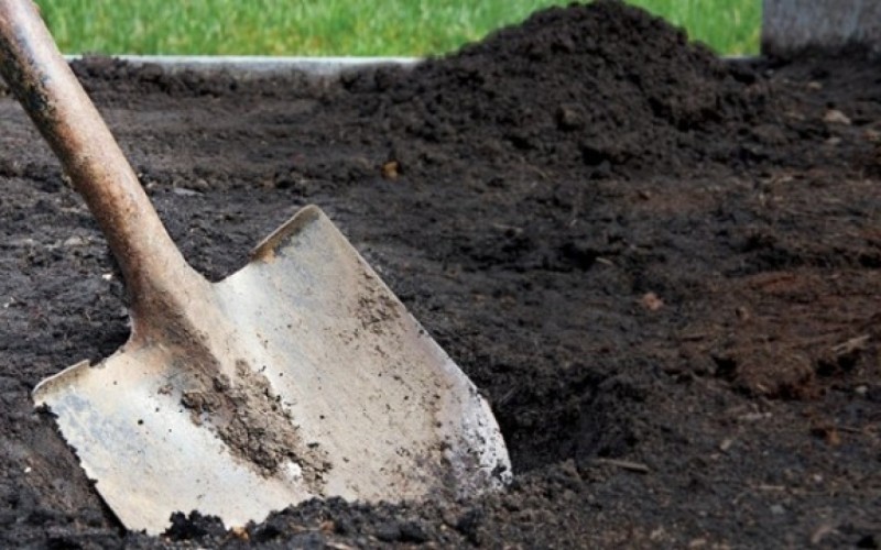 Bakıda qadın ərini öldürüb həyətində basdırdı - Məhkəmə